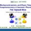 Mechanochromism, and Room Temperature Phosphorescence in Isomeric Phenothiazines.